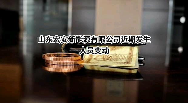 山东宏安新能源有限公司