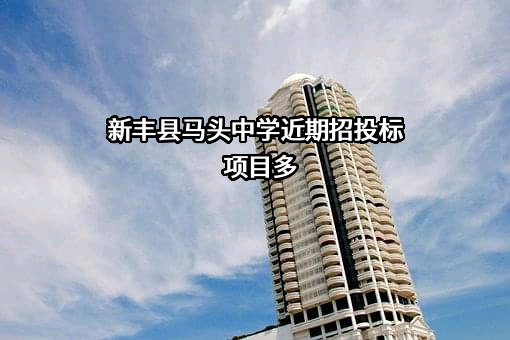 新丰县马头中学