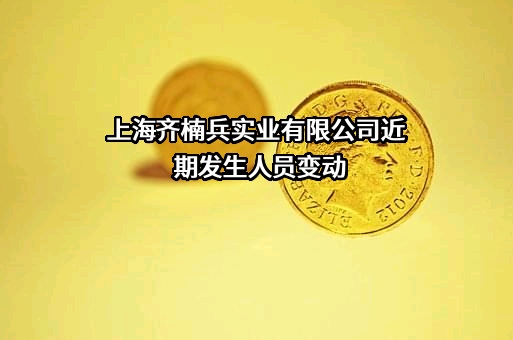 上海齐楠兵实业有限公司