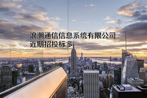 浪潮通信信息系统有限公司