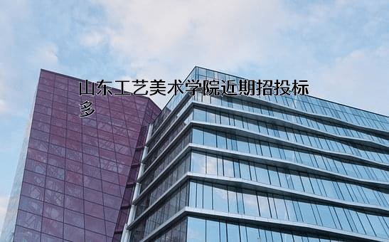 山东工艺美术学院