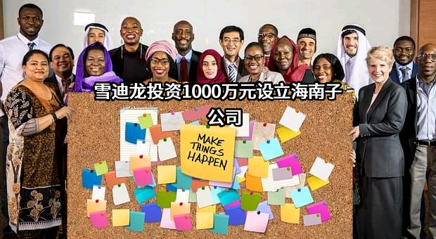 北京雪迪龙科技股份有限公司