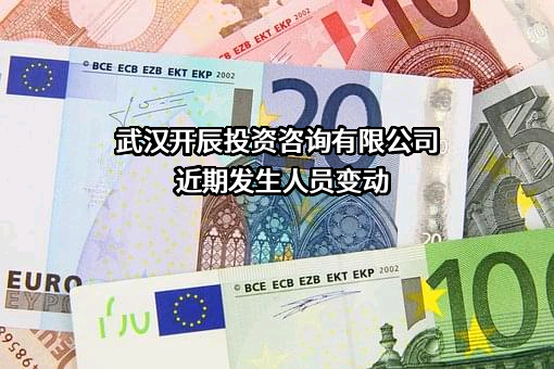 武汉开辰投资咨询有限公司