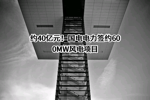 大连盐化集团有限公司