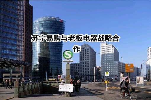 杭州老板电器股份有限公司