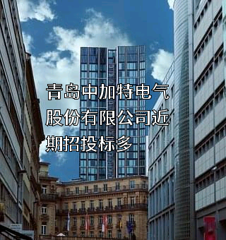 青岛中加特电气股份有限公司