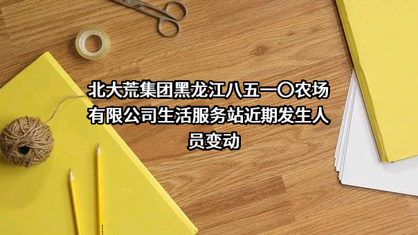 北大荒集团黑龙江八五一〇农场有限公司生活服务站
