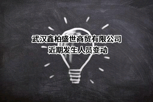 武汉鑫柏盛世商贸有限公司