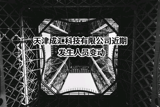 天津成汇科技有限公司