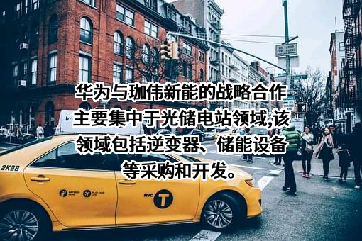 珈伟新能源股份有限公司