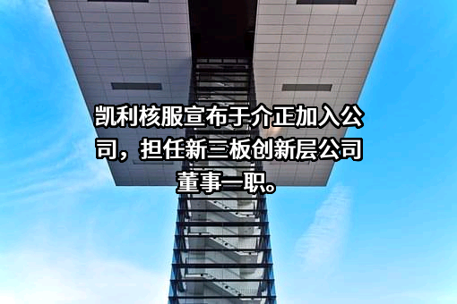 中核凯利深圳核能服务股份有限公司