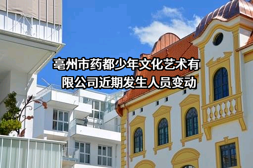 亳州市药都少年文化艺术有限公司