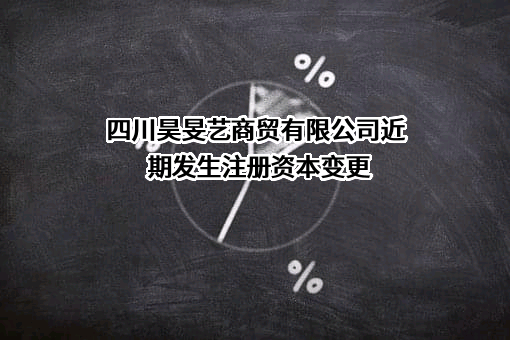 四川昊旻艺商贸有限公司