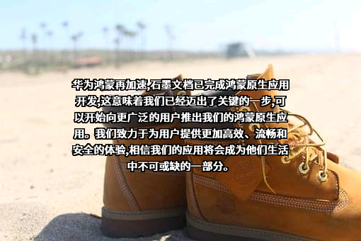 华为技术有限公司