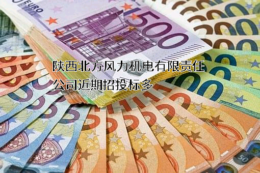 陕西北方风力机电有限责任公司