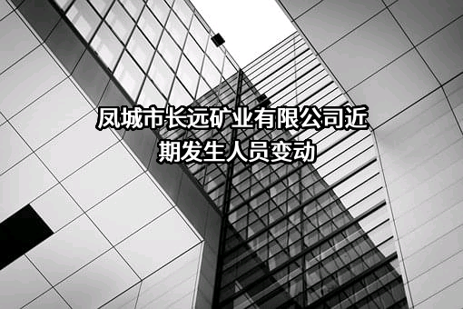 凤城市长远矿业有限公司