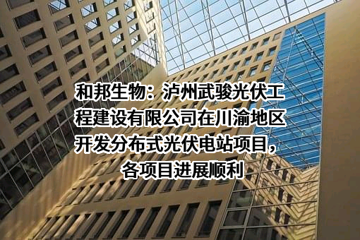 泸州武骏光伏工程建设有限公司