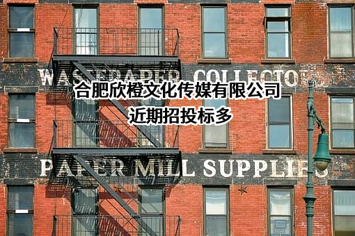 合肥欣橙文化传媒有限公司