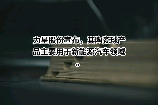 江苏力星通用钢球股份有限公司