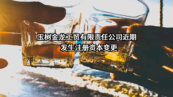 玉树金龙工贸有限责任公司