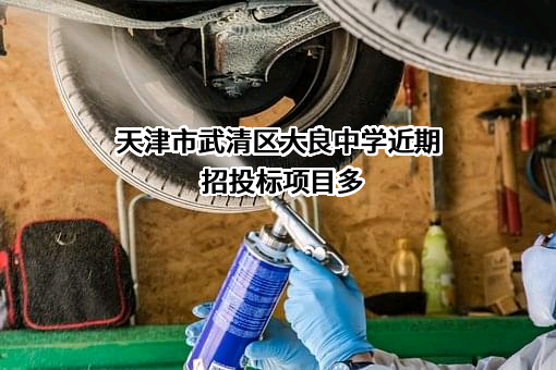 天津市武清区大良中学