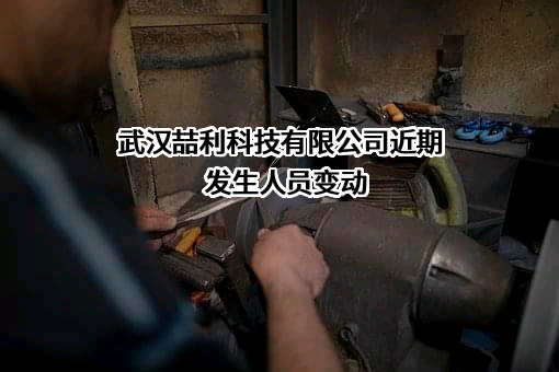 武汉喆利科技有限公司