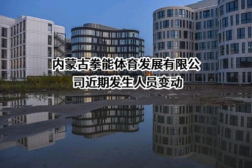 内蒙古拳能体育发展有限公司