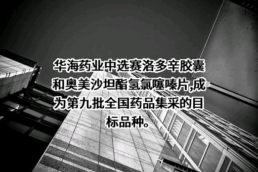 浙江华海药业股份有限公司