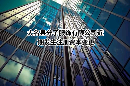 大名县分子服饰有限公司