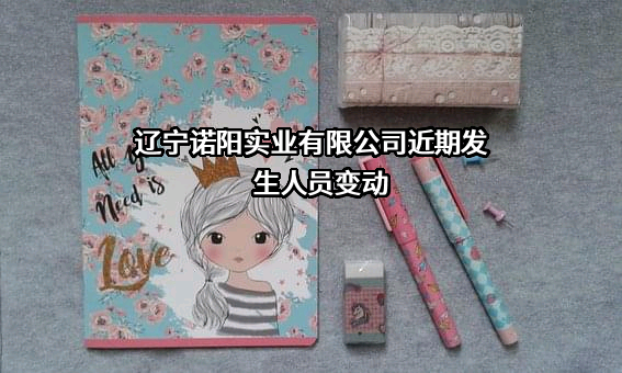 辽宁诺阳实业有限公司
