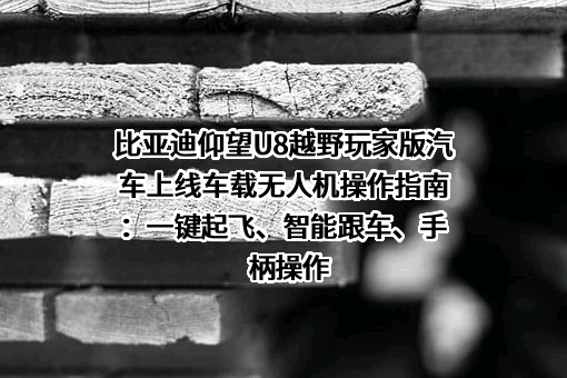 比亚迪股份有限公司