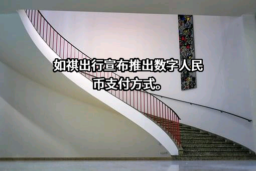 广州祺宸科技有限公司