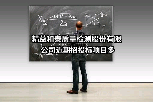 精益和泰质量检测股份有限公司