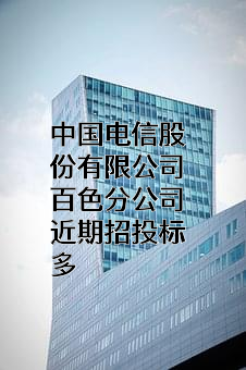 中国电信股份有限公司百色分公司