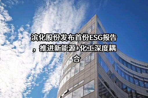 滨化集团股份有限公司