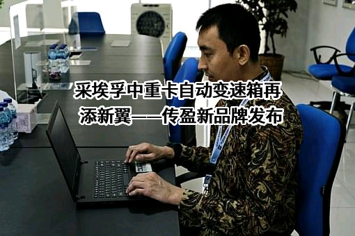 采埃孚（中国）投资有限公司