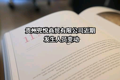 贵州兜悦商贸有限公司