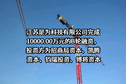 江苏是为科技有限公司