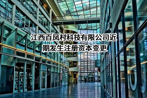 江西百凤村科技有限公司