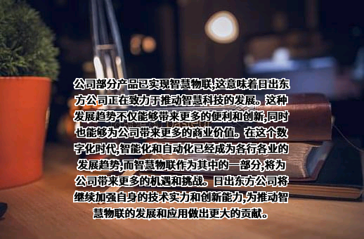 日出东方控股股份有限公司