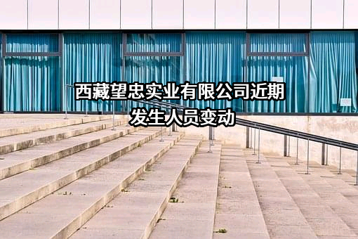 西藏望忠实业有限公司