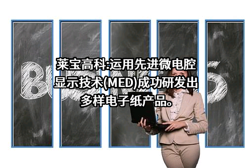 深圳莱宝高科技股份有限公司