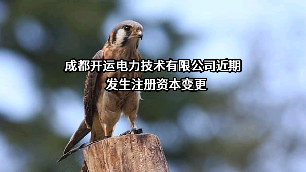 成都开运电力技术有限公司