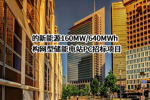 新疆立新能源股份有限公司