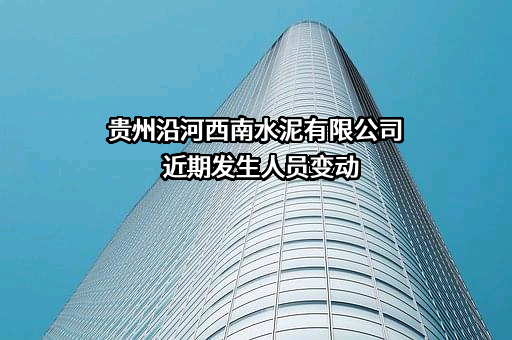 贵州沿河西南水泥有限公司