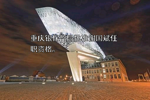 远见保险代理有限公司