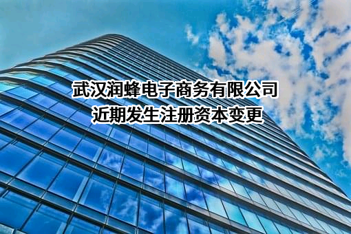 武汉润蜂电子商务有限公司