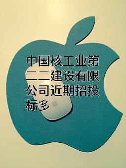 中国核工业第二二建设有限公司