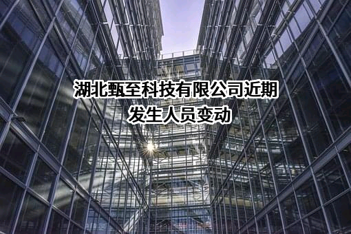 湖北甄至科技有限公司