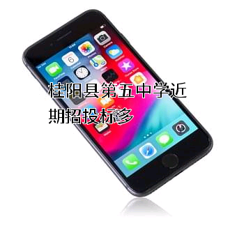 桂阳县第五中学